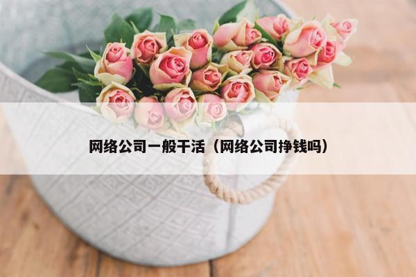 网络公司一般干活（网络公司挣钱吗）