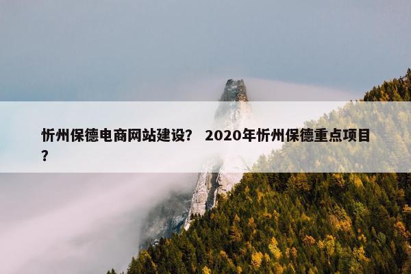 忻州保德电商网站建设？ 2020年忻州保德重点项目？