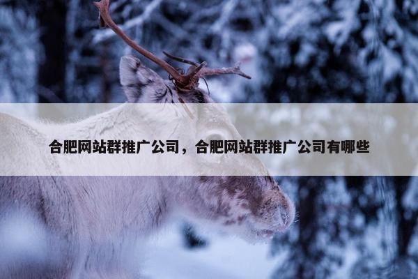 合肥网站群推广公司，合肥网站群推广公司有哪些