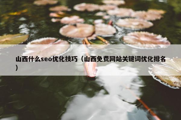 山西什么seo优化技巧（山西免费网站关键词优化排名）