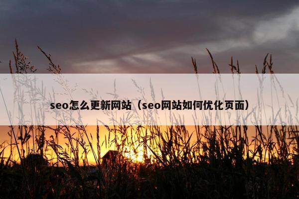 seo怎么更新网站（seo网站如何优化页面）