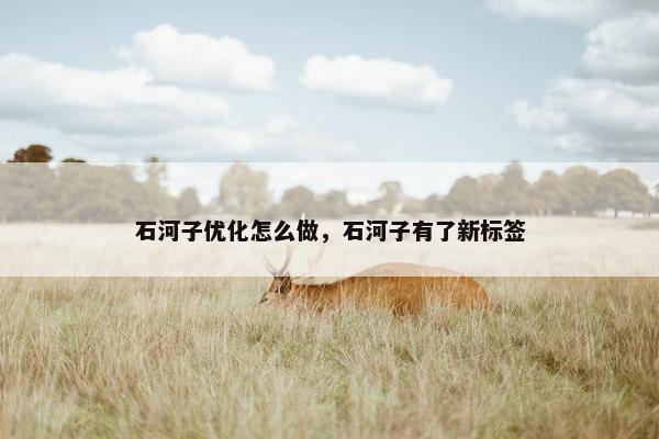 石河子优化怎么做，石河子有了新标签