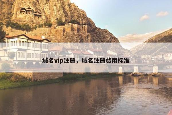 域名vip注册，域名注册费用标准