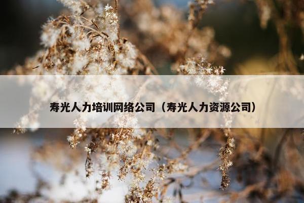 寿光人力培训网络公司（寿光人力资源公司）