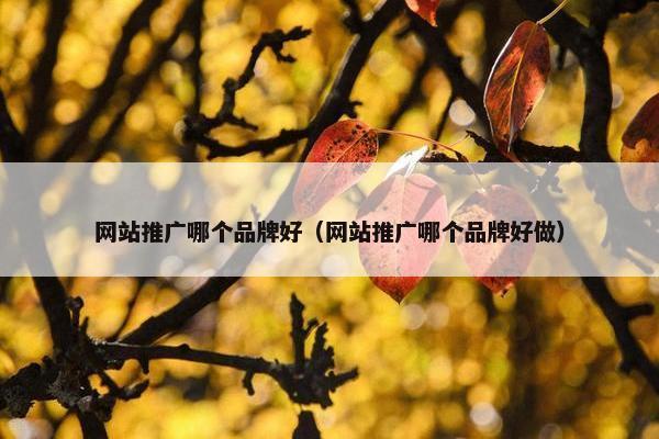 网站推广哪个品牌好（网站推广哪个品牌好做）