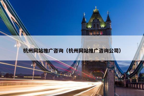 杭州网站推广咨询（杭州网站推广咨询公司）