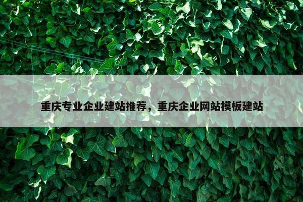 重庆专业企业建站推荐，重庆企业网站模板建站