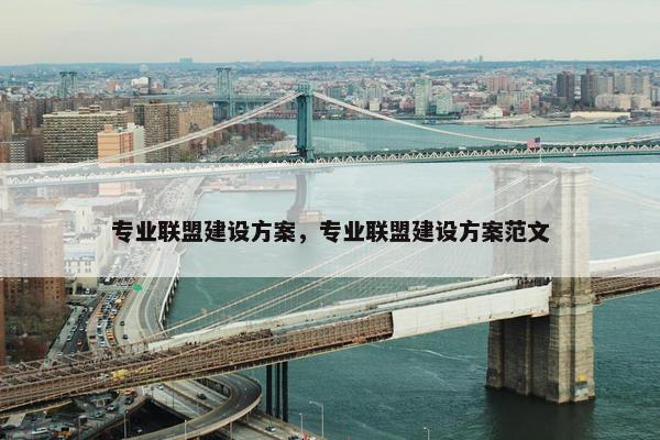 专业联盟建设方案，专业联盟建设方案范文