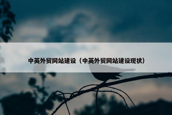 中英外贸网站建设（中英外贸网站建设现状）