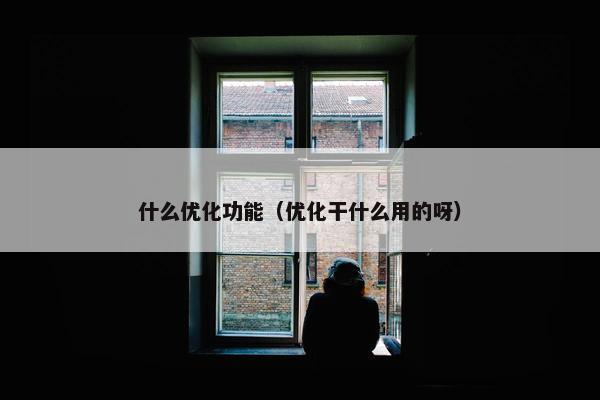 什么优化功能（优化干什么用的呀）