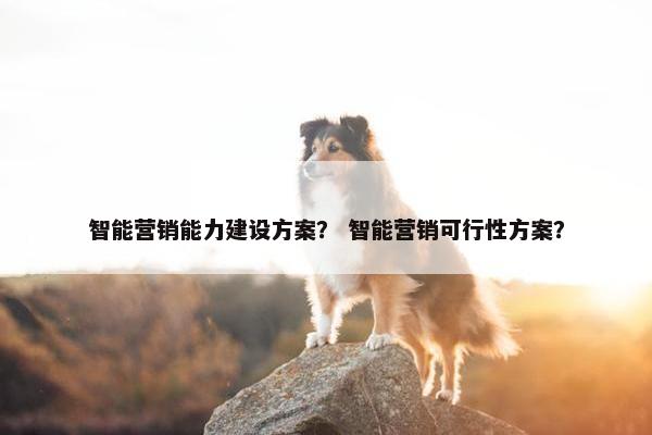 智能营销能力建设方案？ 智能营销可行性方案？