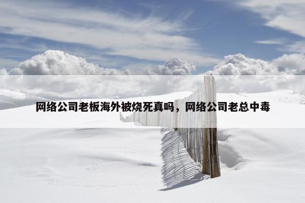 网络公司老板海外被烧死真吗，网络公司老总中毒