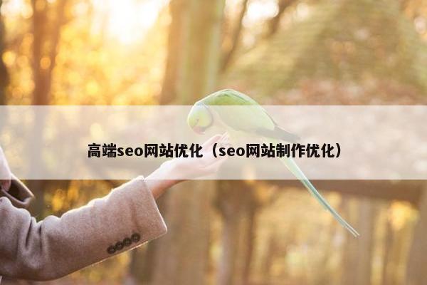 高端seo网站优化（seo网站制作优化）