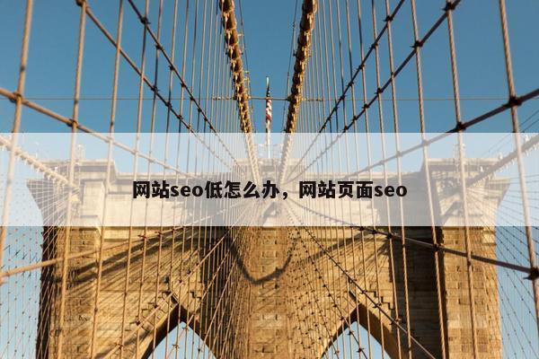 网站seo低怎么办，网站页面seo