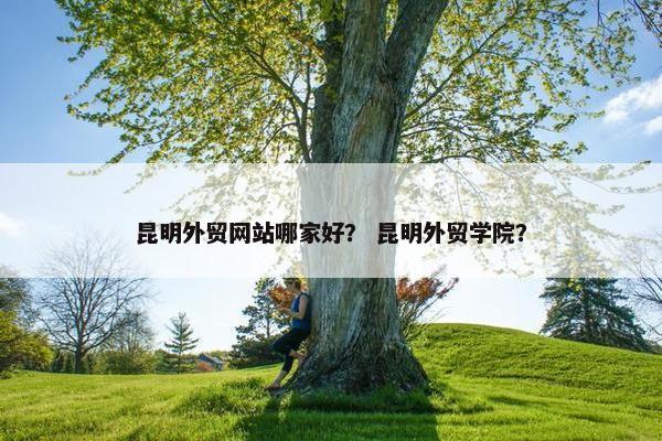 昆明外贸网站哪家好？ 昆明外贸学院？