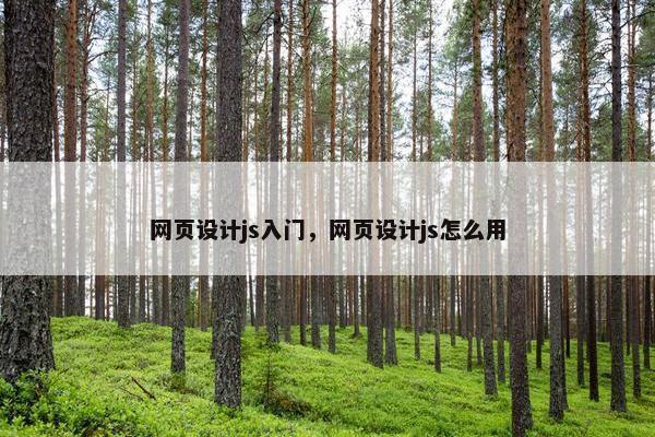 网页设计js入门，网页设计js怎么用