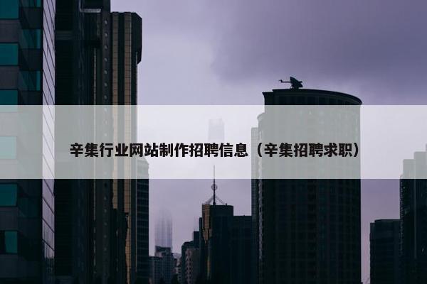 辛集行业网站制作招聘信息（辛集招聘求职）