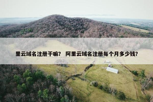 里云域名注册干嘛？ 阿里云域名注册每个月多少钱？