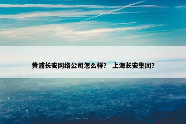 黄浦长安网络公司怎么样？ 上海长安集团？