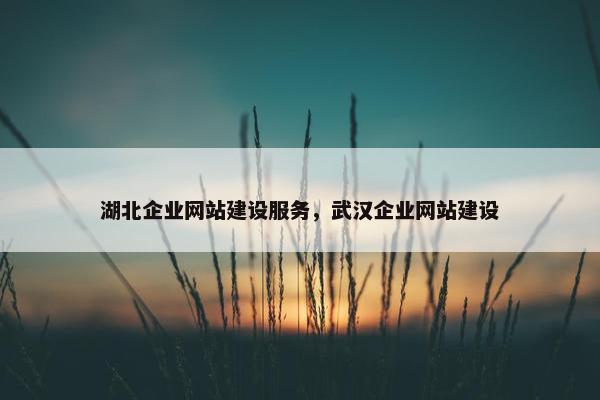 湖北企业网站建设服务，武汉企业网站建设