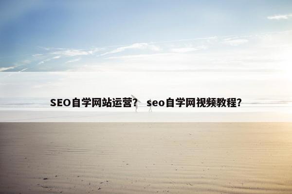 SEO自学网站运营？ seo自学网视频教程？