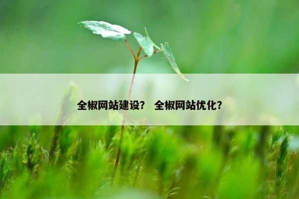 全椒网站建设？ 全椒网站优化？