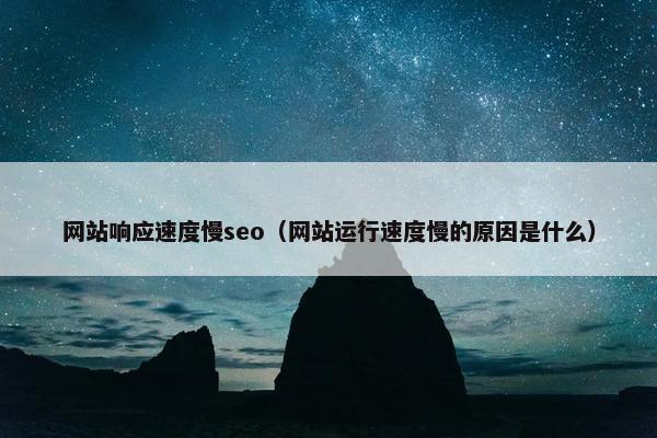 网站响应速度慢seo（网站运行速度慢的原因是什么）