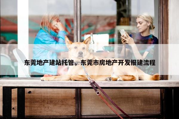 东莞地产建站托管，东莞市房地产开发报建流程