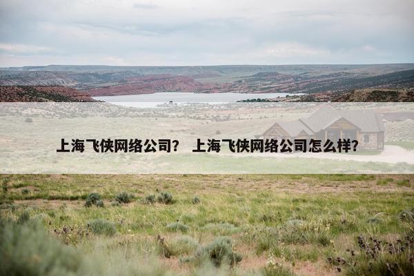 上海飞侠网络公司？ 上海飞侠网络公司怎么样？