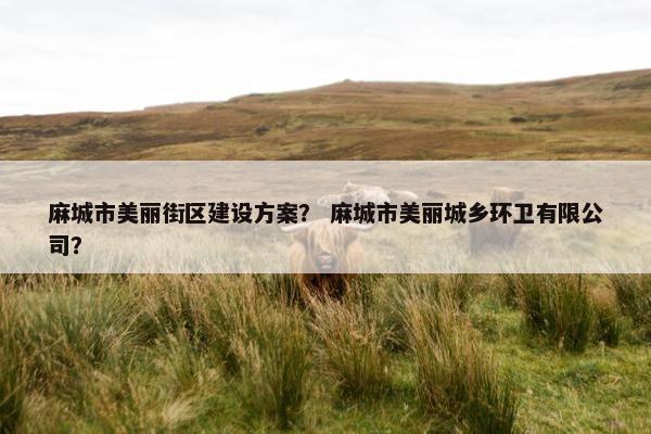 麻城市美丽街区建设方案？ 麻城市美丽城乡环卫有限公司？