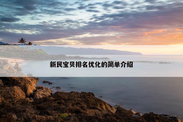 新民宝贝排名优化的简单介绍