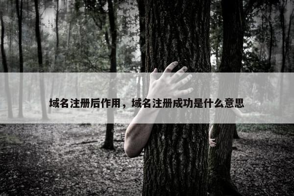 域名注册后作用，域名注册成功是什么意思