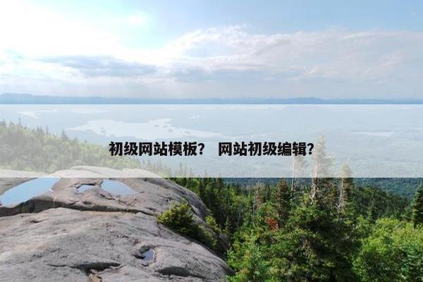 初级网站模板？ 网站初级编辑？