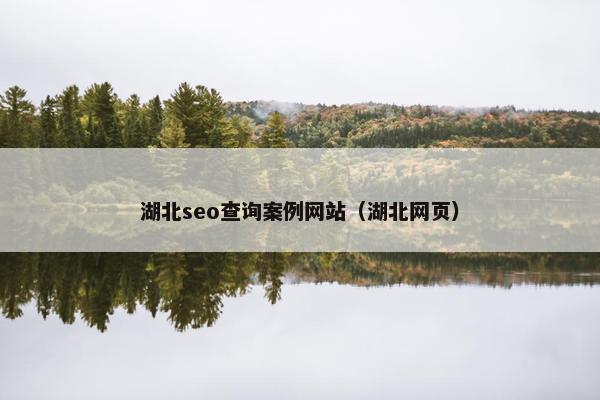 湖北seo查询案例网站（湖北网页）