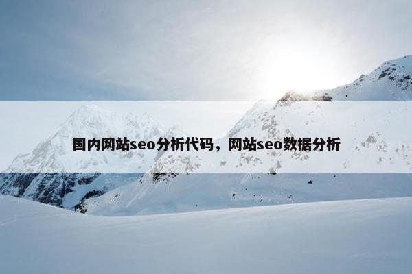 国内网站seo分析代码，网站seo数据分析