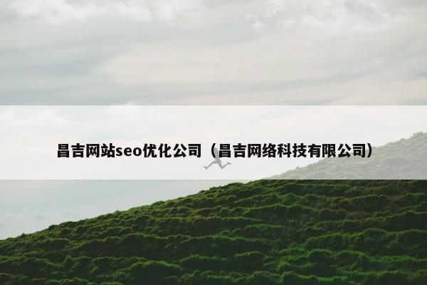 昌吉网站seo优化公司（昌吉网络科技有限公司）