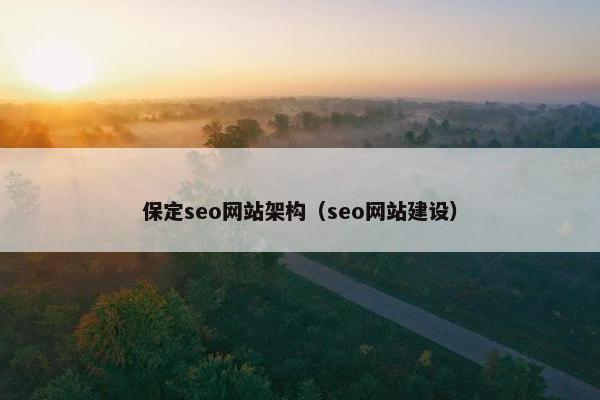 保定seo网站架构（seo网站建设）