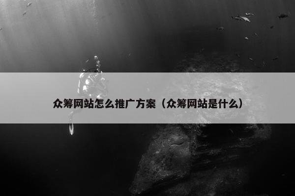 众筹网站怎么推广方案（众筹网站是什么）