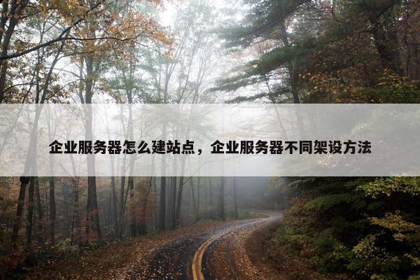 企业服务器怎么建站点，企业服务器不同架设方法