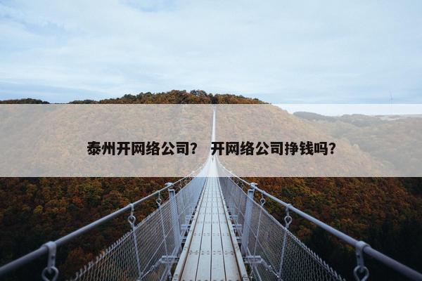 泰州开网络公司？ 开网络公司挣钱吗？