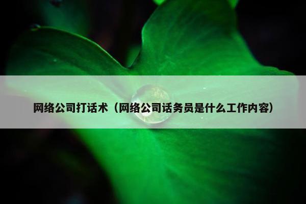 网络公司打话术（网络公司话务员是什么工作内容）