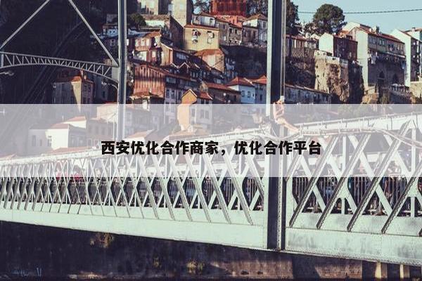 西安优化合作商家，优化合作平台