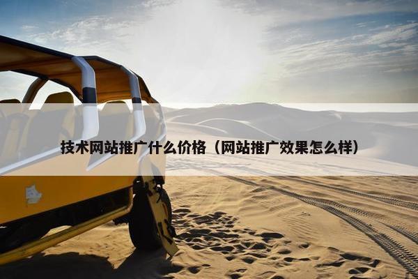 技术网站推广什么价格（网站推广效果怎么样）