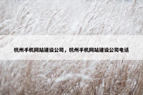 杭州手机网站建设公司，杭州手机网站建设公司电话