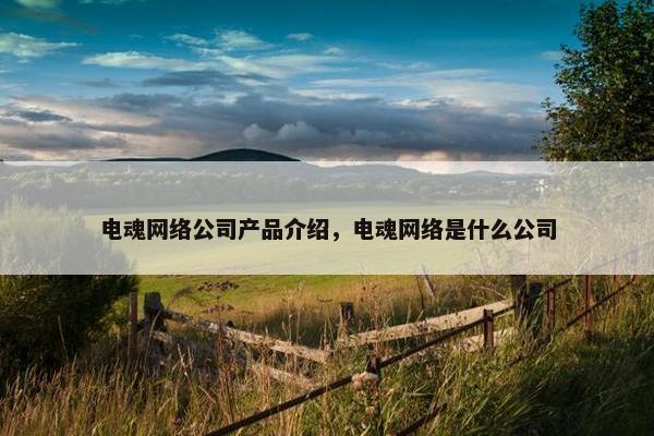 电魂网络公司产品介绍，电魂网络是什么公司