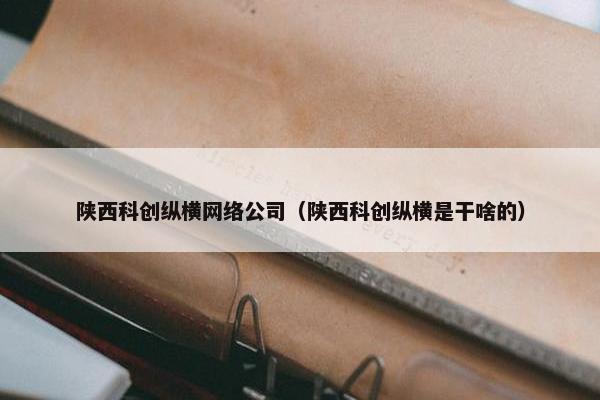 陕西科创纵横网络公司（陕西科创纵横是干啥的）