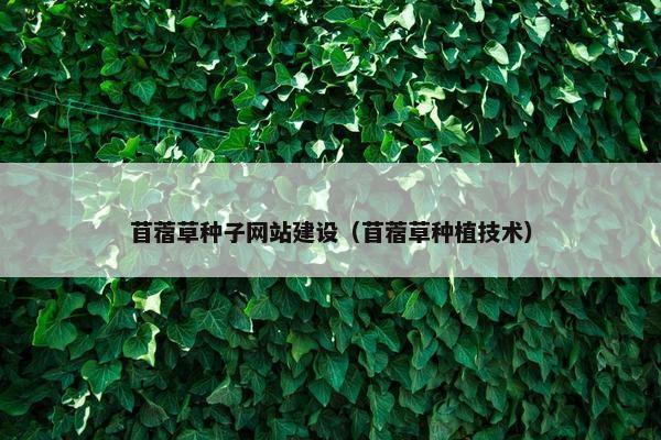 苜蓿草种子网站建设（苜蓿草种植技术）