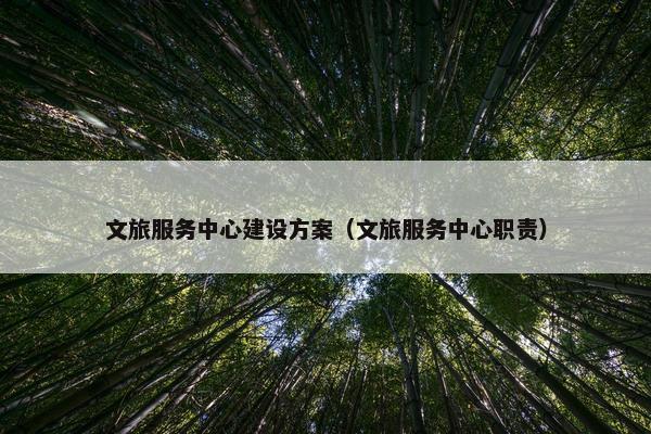 文旅服务中心建设方案（文旅服务中心职责）