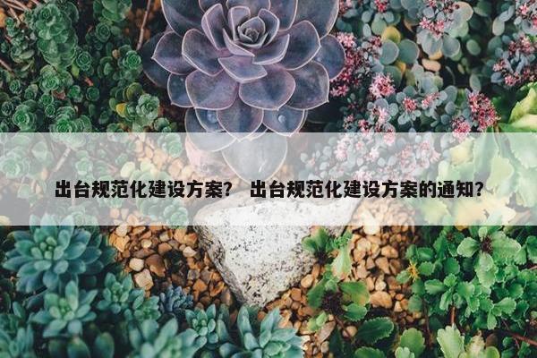出台规范化建设方案？ 出台规范化建设方案的通知？