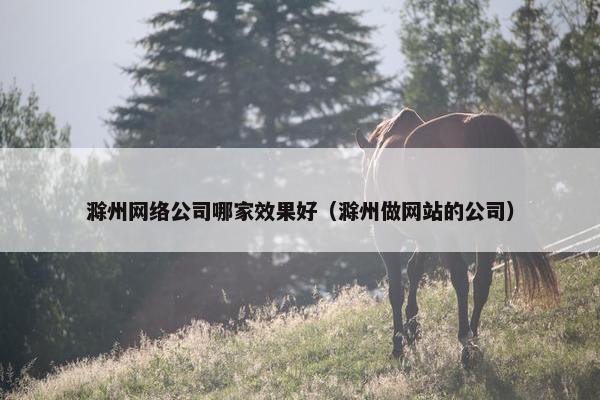 滁州网络公司哪家效果好（滁州做网站的公司）